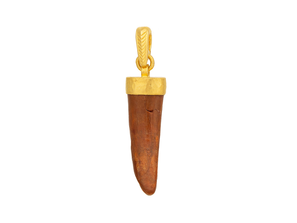 GURHAN, GURHAN Mens Gold Dinosaur Tooth Pendant, 27x8mm Pterosaur